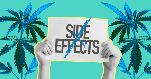 What Are The Side Effects Of Cannabis And CBD?