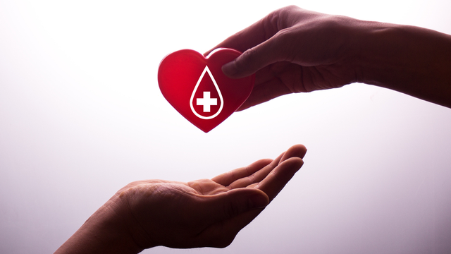 Can You Donate Blood If You Smoke Weed Or Take CBD?