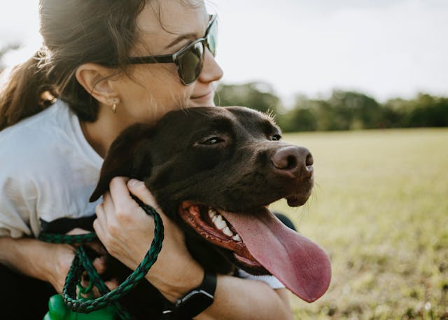CBD For Dogs: Is It Safe?