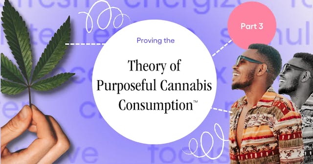 Proving The Theory of Purposeful Cannabis Consumption (3/6)