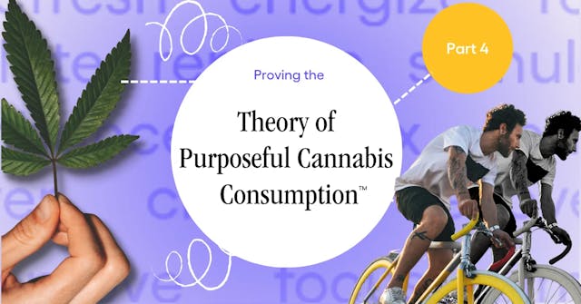 Proving The Theory of Purposeful Cannabis Consumption (4/6)