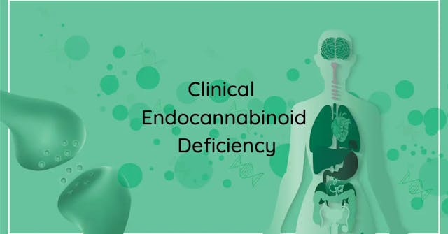 What Is Clinical Endocannabinoid Deficiency?