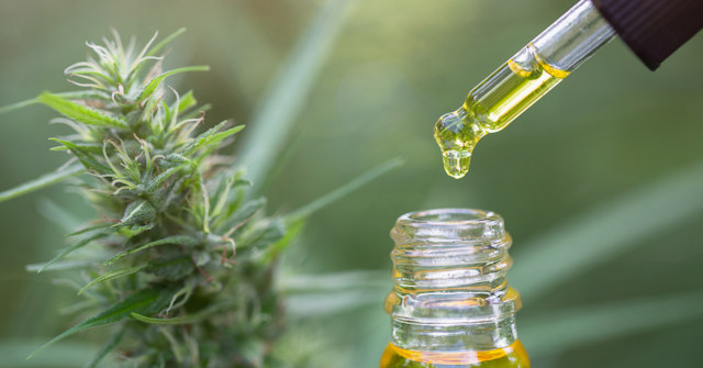 How Does CBD Work? Mechanism Of Action Explored