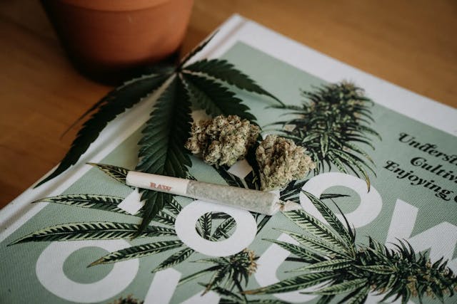 How To Know If My Cannabis Is Good Quality