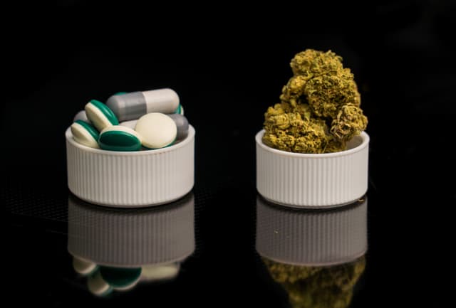 Does Cannabis Increase Sensitivity To Pain Like Opioids?