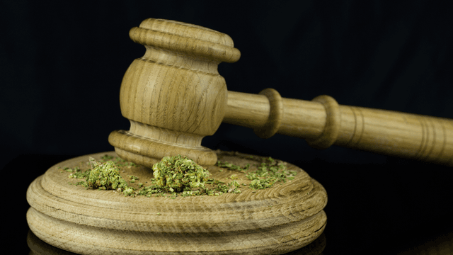 Why Is Weed Illegal?