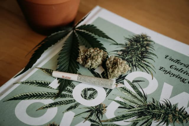 How To Know If My Cannabis Is Good Quality