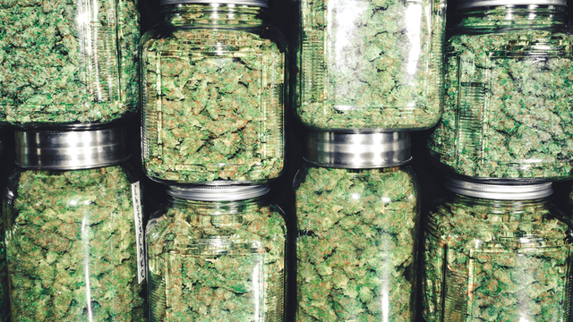 How to Cure Weed - Jointly’s Guide to Curing Marijuana
