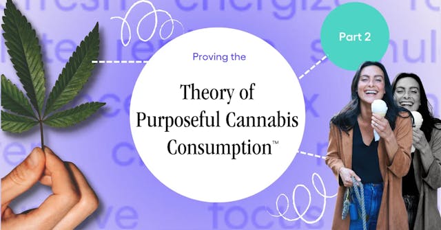 Proving The Theory of Purposeful Cannabis Consumption (2/6)