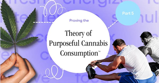 Proving The Theory of Purposeful Cannabis Consumption (5/6)