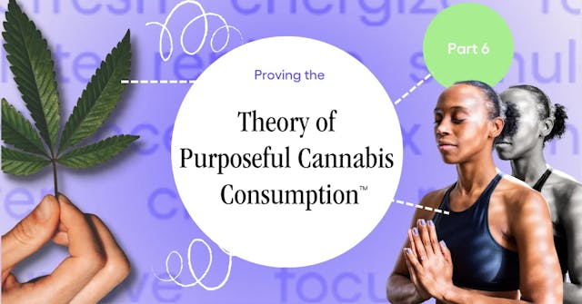 Proving The Theory of Purposeful Cannabis Consumption (6/6)