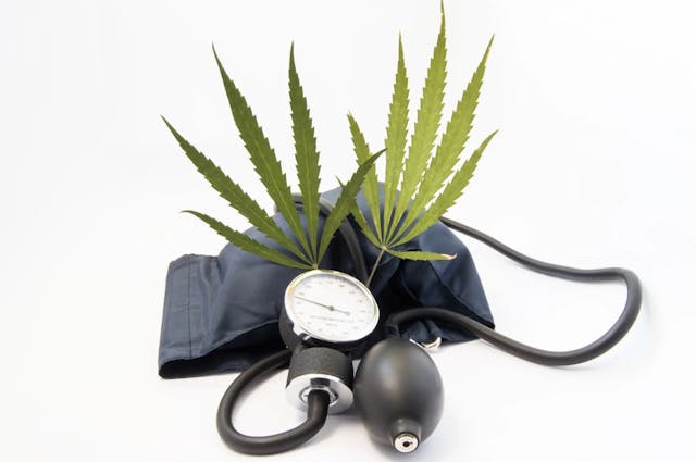 Can Cannabis Lower Blood Pressure?
